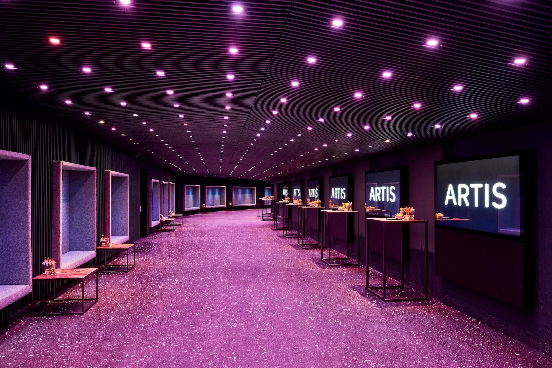 ARTIS Robbenzaal